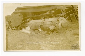 Image description is not available for PHO-264-683